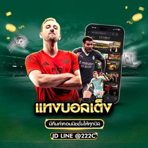 แทงบอลเดี่ยว